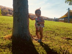 IMG_2219.JPG IMG_2219.JPG