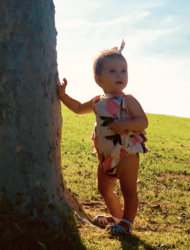 IMG_2219ff.jpg IMG_2219ff.jpg