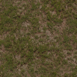 gdt_grass_green_co.png gdt_grass_green_co.png