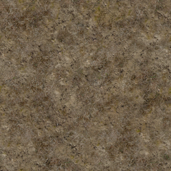 gdt_weed_co.png gdt_weed_co.png