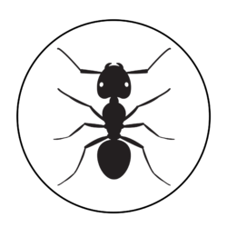 ant-black.png