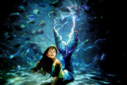 mermaid.jpg