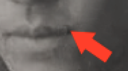 Screen Shot 2019-03-17 at 11.42.31 AM.png