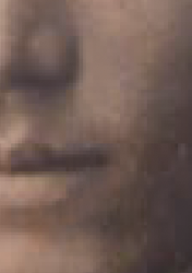 Screen Shot 2019-03-17 at 12.12.31 PM.png