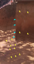 Screen Shot 2019-03-21 at 10.34.30 PM.png