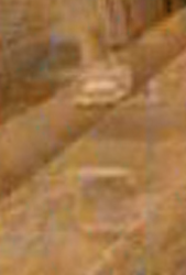 Screen Shot 2019-03-31 at 11.53.43 AM.png