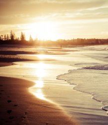 p749g9b6wgz0okwk (1).jpg