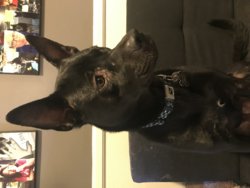 image1 (1).jpeg image1 (1).jpeg