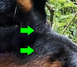 Screen Shot 2019-05-17 at 9.32.23 PM copy.png