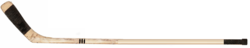 hockey stick.png hockey stick.png
