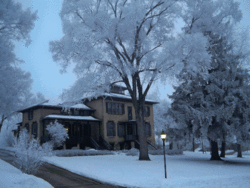 1580-After-House-Frost.gif
