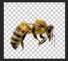 Screen Shot 2019-06-22 at 8.07.13 AM.png Screen Shot 2019-06-22 at 8.07.13 AM.png