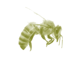 Screen Shot 2019-06-22 at 8.09.24 AM.png Screen Shot 2019-06-22 at 8.09.24 AM.png