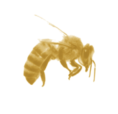 Screen Shot 2019-06-22 at 8.13.34 AM.png Screen Shot 2019-06-22 at 8.13.34 AM.png