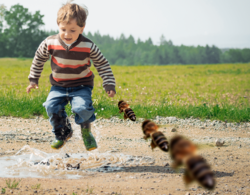Screen Shot 2019-06-22 at 8.39.15 AM.png Screen Shot 2019-06-22 at 8.39.15 AM.png