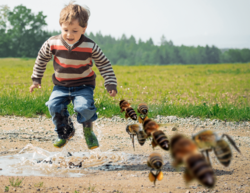 Screen Shot 2019-06-22 at 8.40.24 PM.png Screen Shot 2019-06-22 at 8.40.24 PM.png