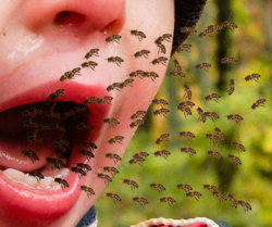 Colored-Bees-from-Brushing.jpg Colored-Bees-from-Brushing.jpg