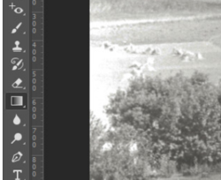 Screen Shot 2019-06-23 at 3.22.09 PM.png