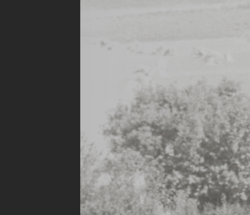 Screen Shot 2019-06-23 at 3.23.22 PM.png