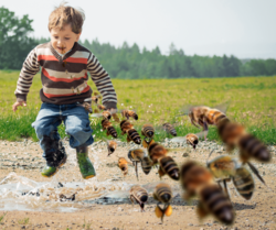 Screen Shot 2019-06-23 at 8.47.14 PM.png Screen Shot 2019-06-23 at 8.47.14 PM.png