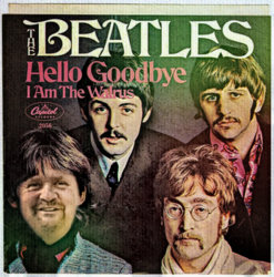 Unknown-Beatle.jpg Unknown-Beatle.jpg