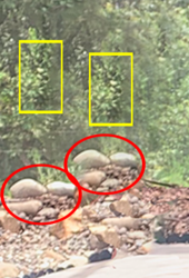 Screen Shot 2019-07-10 at 10.19.15 PM copy.png