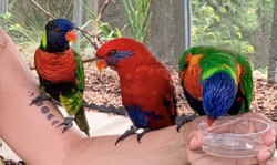 Screen Shot 2019-07-10 at 10.23.42 PM.png