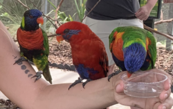 Screen Shot 2019-07-10 at 10.24.06 PM.png