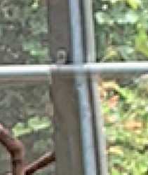 Screen Shot 2019-07-10 at 10.31.03 PM.png