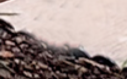 Screen Shot 2019-07-10 at 10.31.10 PM.png