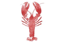 lobster-distressed-example.jpg