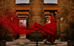 red dress.png