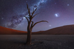 tree-desert-milky-way-4k-wk.jpg