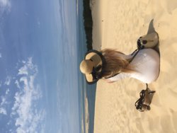 IMG_7998 2.JPG IMG_7998 2.JPG