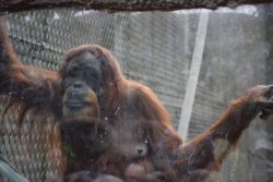 DSC_4784.jpg DSC_4784.jpg