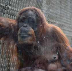 Screen Shot 2019-08-23 at 7.57.16 AM.png Screen Shot 2019-08-23 at 7.57.16 AM.png
