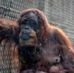 Screen Shot 2019-08-23 at 7.55.29 AM.png Screen Shot 2019-08-23 at 7.55.29 AM.png