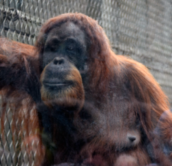 Screen Shot 2019-08-23 at 7.55.12 AM.png Screen Shot 2019-08-23 at 7.55.12 AM.png
