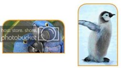 rounded-corner-test.jpg rounded-corner-test.jpg