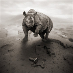 3936741294_dd74fb9fbb.jpg 3936741294_dd74fb9fbb.jpg