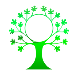 logoforumn.png logoforumn.png