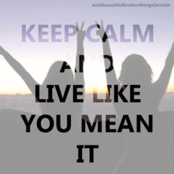 jl12yt.gif jl12yt.gif