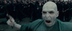 demort_and_his_followers_at_the_Battle_of_Hogwarts.jpg