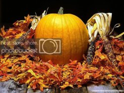 Pumpkin.jpg Pumpkin.jpg