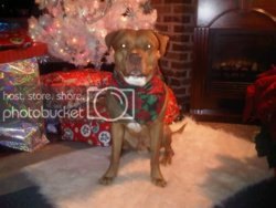 i00666.jpg i00666.jpg