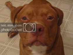 155-5572_IMG.jpg 155-5572_IMG.jpg