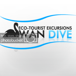 SwanDive.png SwanDive.png