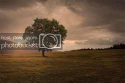 Finishsm_zpsa4cdc172.png Finishsm_zpsa4cdc172.png