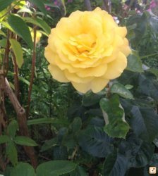 apu9atub.jpg apu9atub.jpg