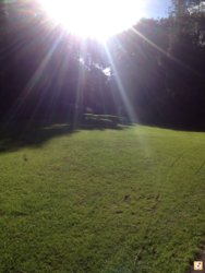 uqu6uve9.jpg uqu6uve9.jpg